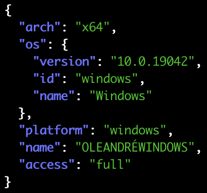 Windows 设备